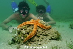 Starfish. 
The wonder is how beautiful and great guys to... by Roman Vyroubal 